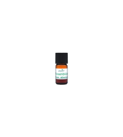 Provida Rose Absolue